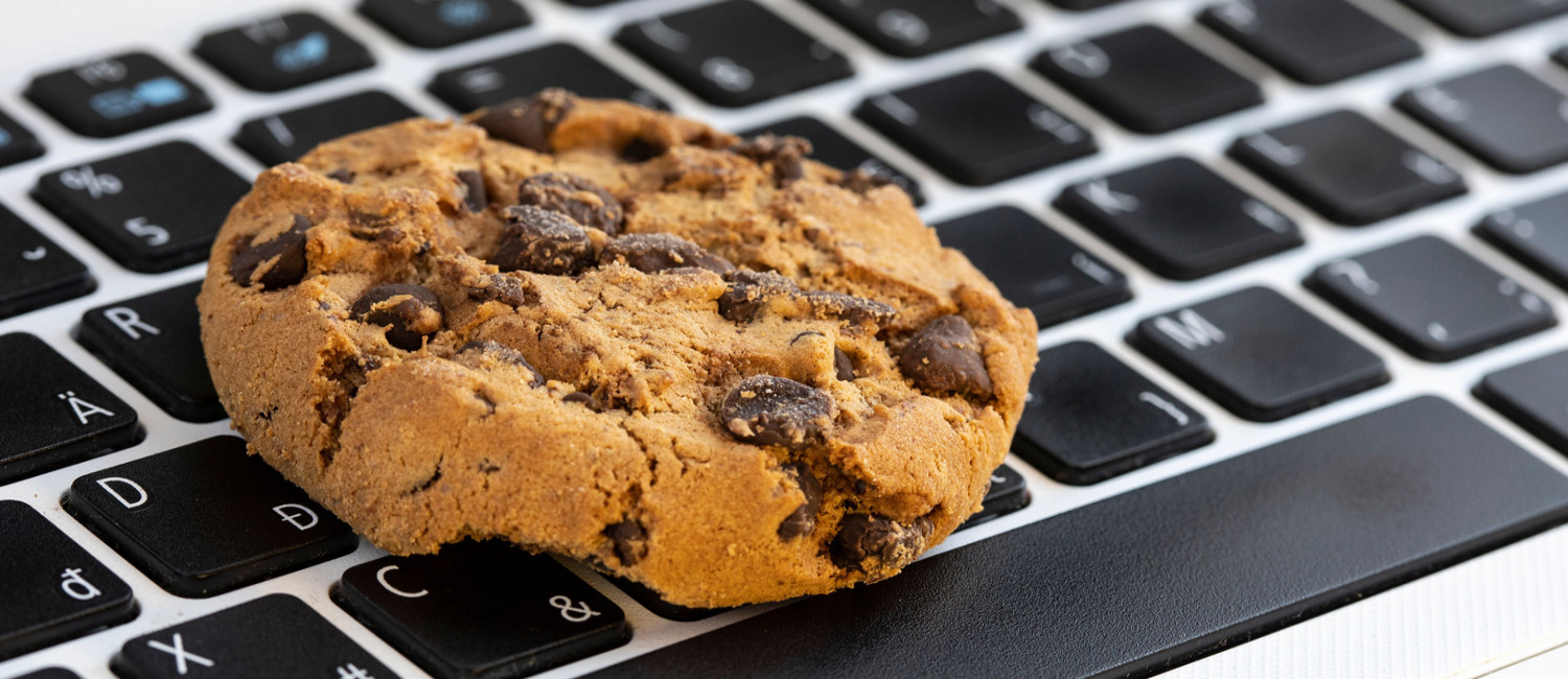 WEBSITE COOKIE POLICY FOR DELUXE INN